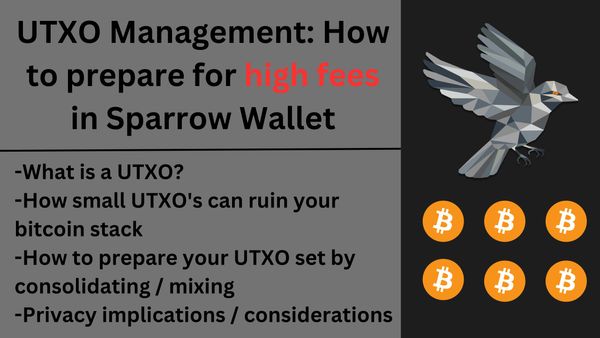 Bitcoin UTXO management: how to prepare for high fees in Sparrow Wallet